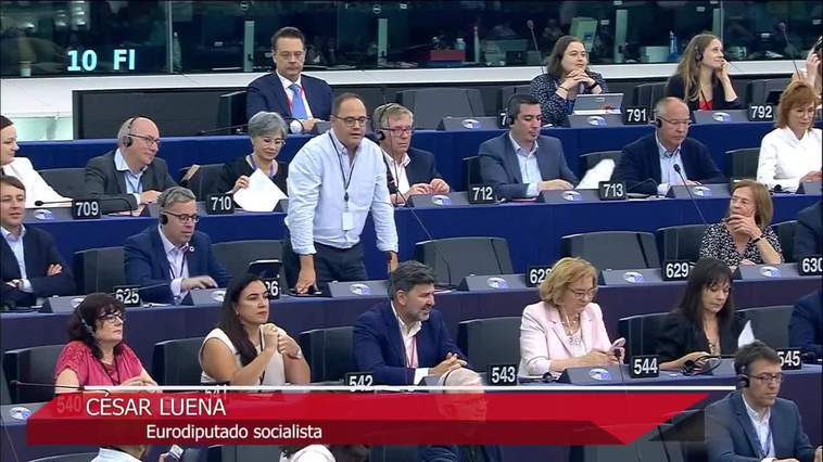 Luz verde a la ley de la restauración de la naturaleza en la Eurocámara