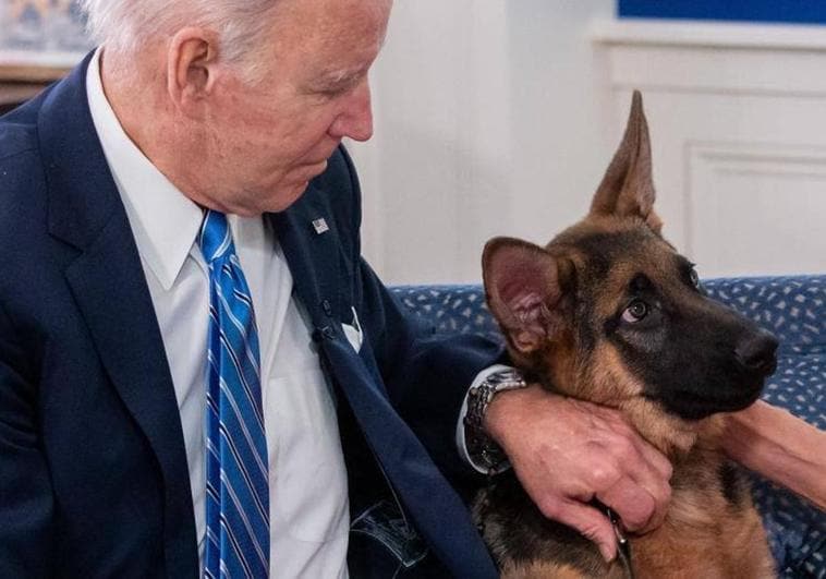 El perro de Biden junto al presidente de EE.UU.