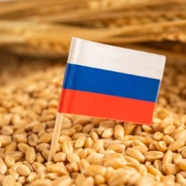 La estrategia Rusia con el grano para dejar fuera de juego a Ucrania