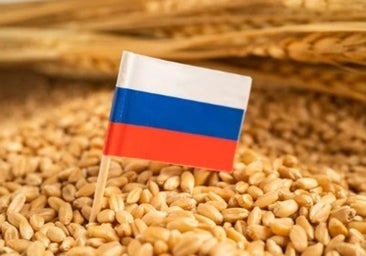 La estrategia Rusia con el grano para dejar fuera de juego a Ucrania