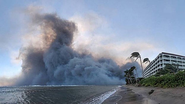Detalle de los incendios forestales en Maui