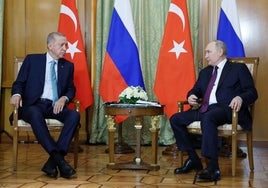 Erdogan no logra convencer a Putin para que reanude el acuerdo del grano