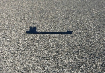 Kiev acude a la OMC para demandar a Polonia, Hungría y Eslovaquia por vetar la importación de granos