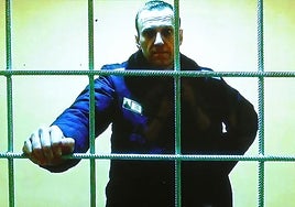 La relatora de la ONU para los DD.HH. en Rusia alerta de la «preocupante desaparición forzosa» de Navalni