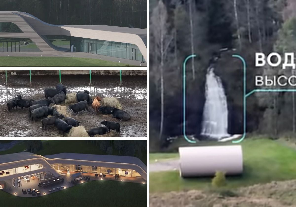 Una granja con vacas, la reconstrucción del interior de la mansión y la cascada de cuatro metros de altura