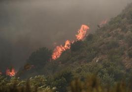 Una oleada de incendios en Chile causa la muerte de al menos 64 personas