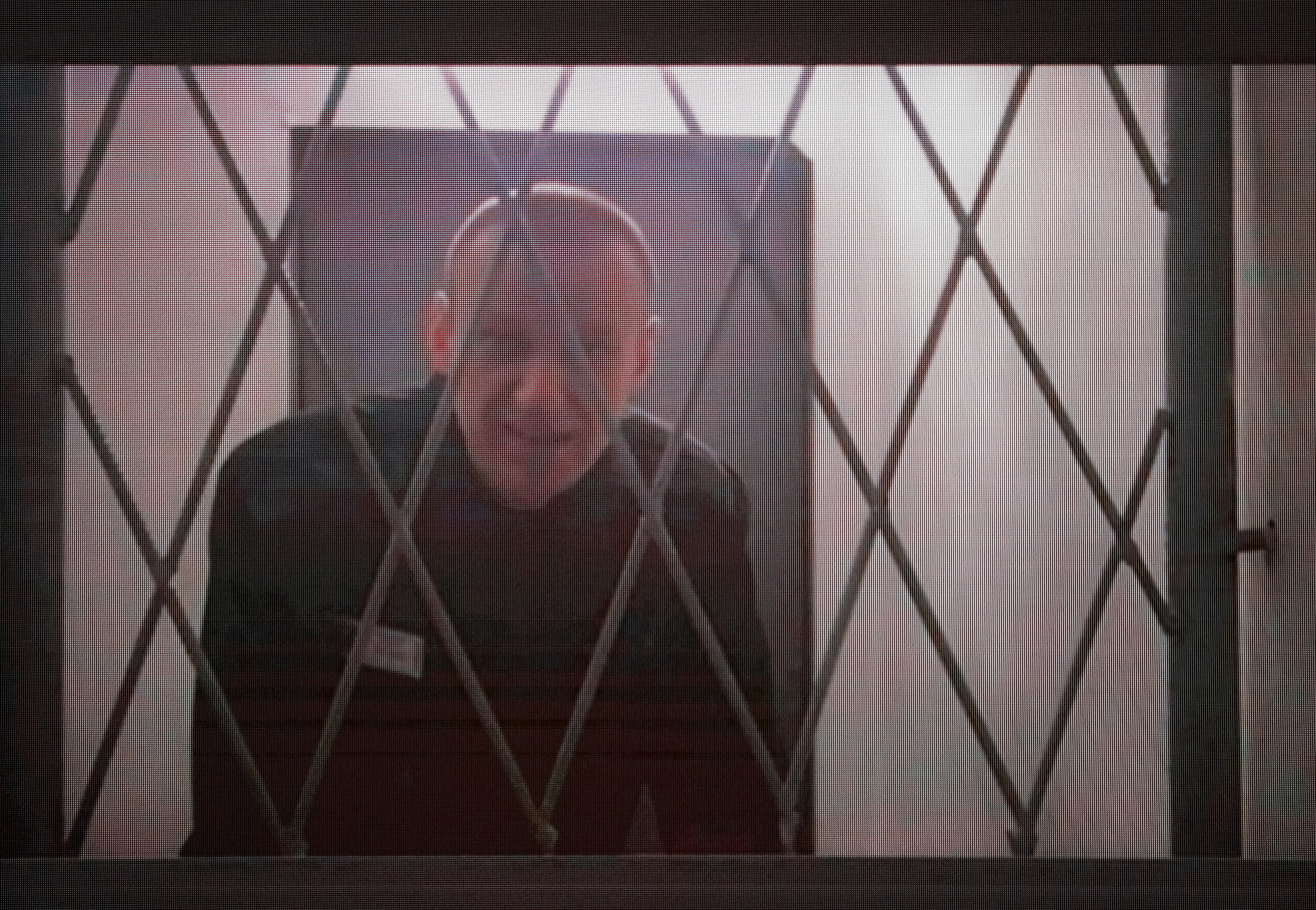 La vida del opositor ruso Alexéi Navalni, en imágenes