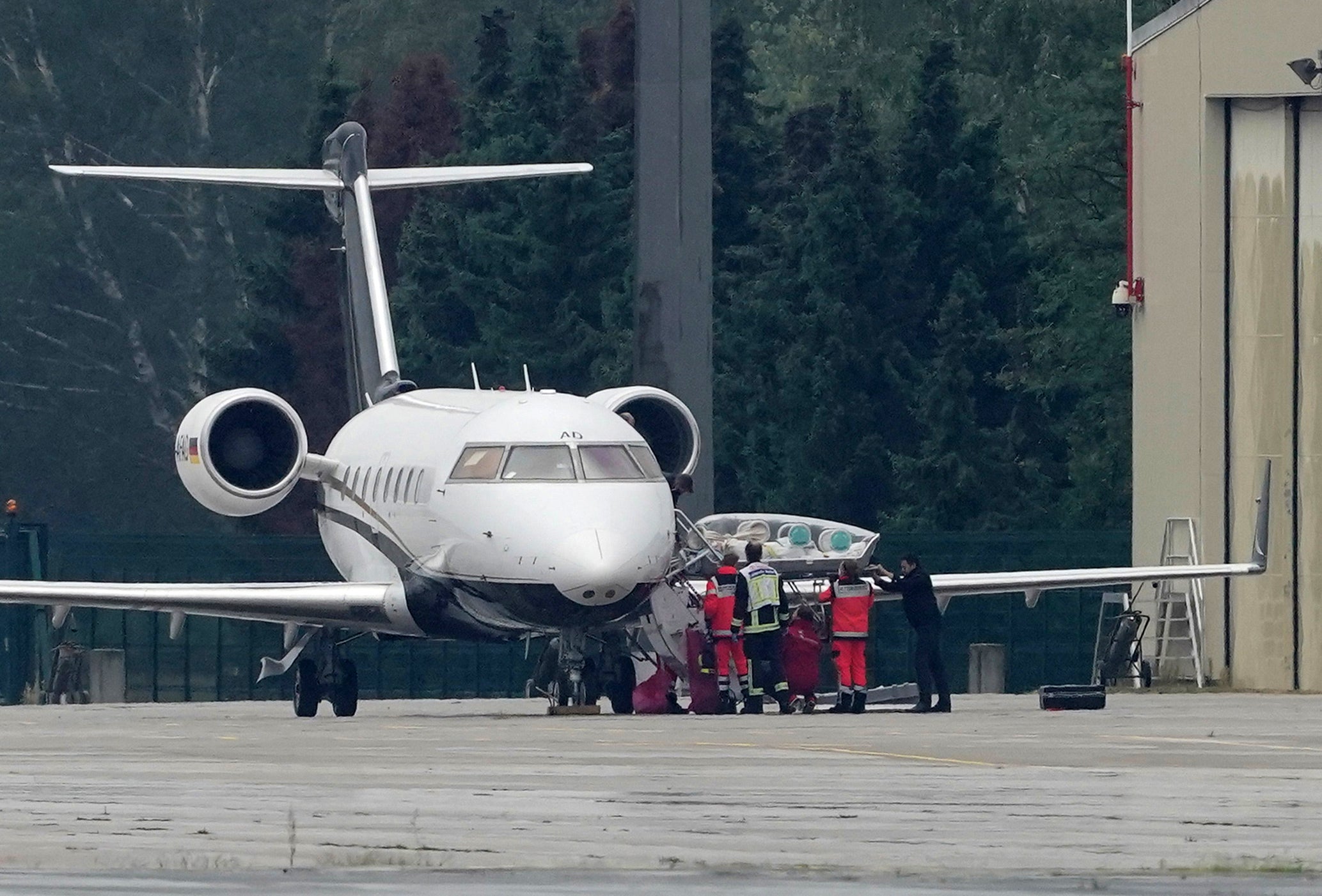 La vida del opositor ruso Alexéi Navalni, en imágenes