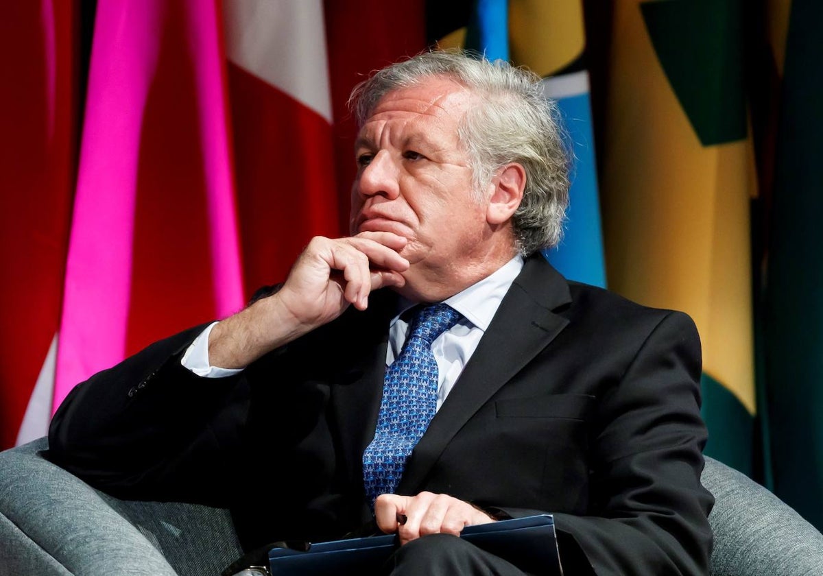 El secretario general de la Organización de Estados Americanos (OEA), Luis Almagro