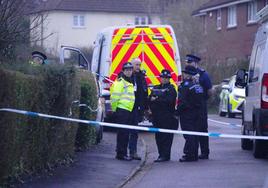 Arrestan a una mujer por el presunto asesinato de tres niños en Bristol