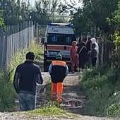 Muere un bebé de 15 meses tras ser atacado por dos pitbulls y su madre resulta herida