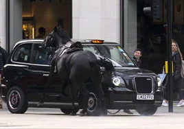 Uno de los caballos choca contra un Taxi cerca de la calle Aldwych, en el centro de Londres