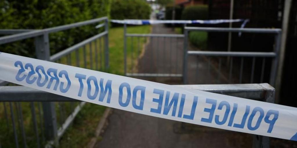 Acusado de agredir a un hombre de nacionalidad española y brasileña por el atentado con espada en Londres
