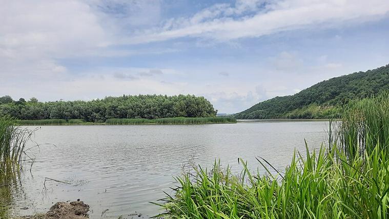 Lago de la Villa Bogensee