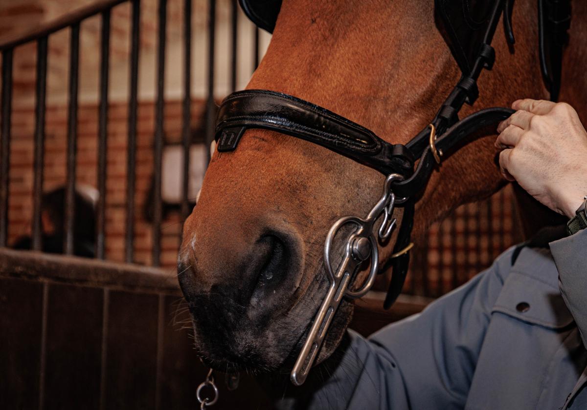 Muere un trabajador al ser aplastado por un caballo en un centro hípico