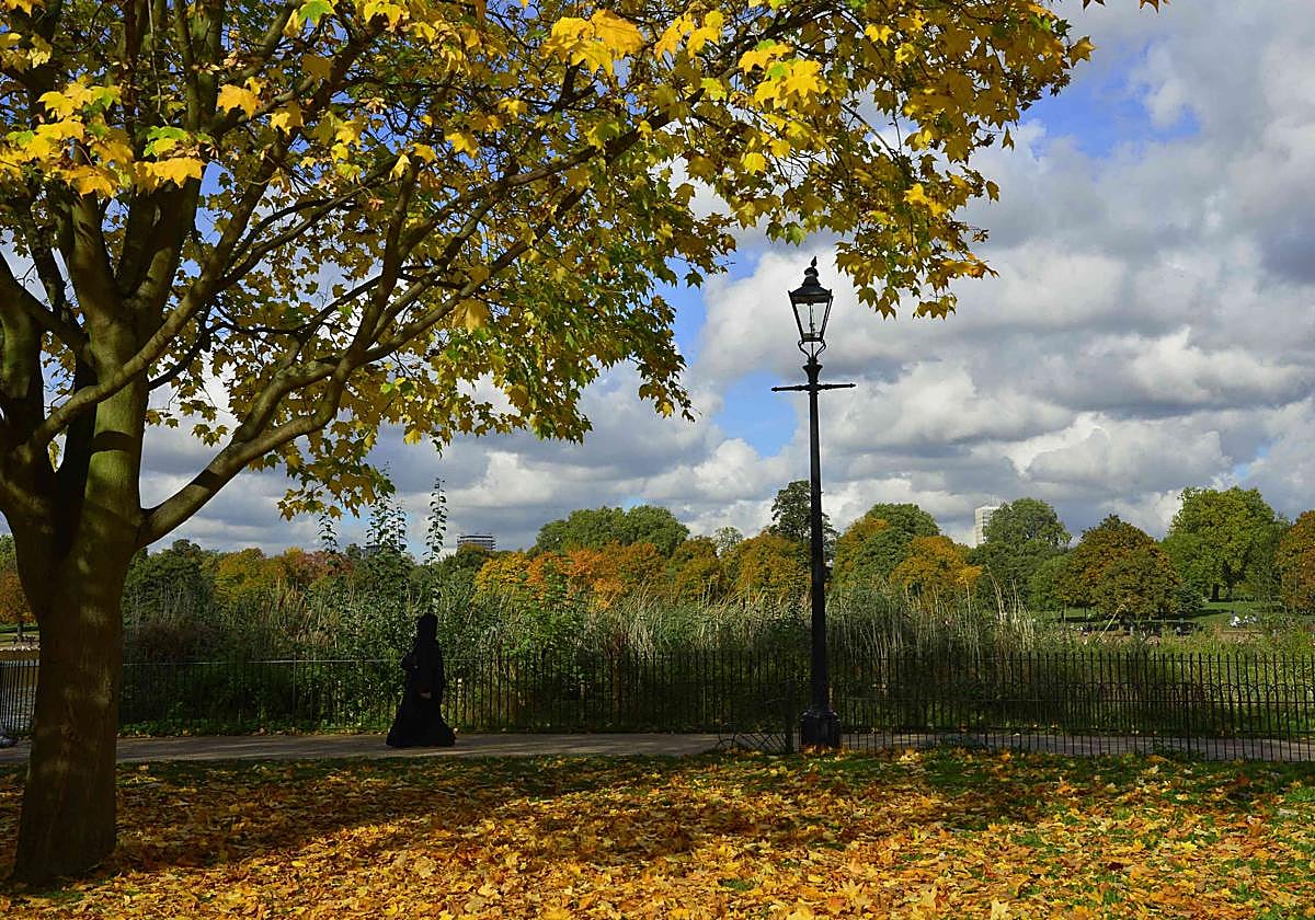 Fotografía de Hyde Park, en el centro de Londres