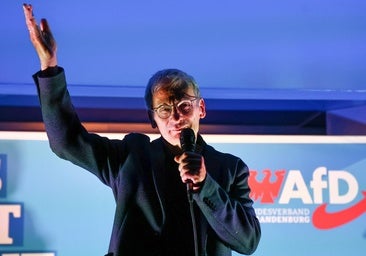 El auge de Alternativa para Alemania llega a Brandemburgo