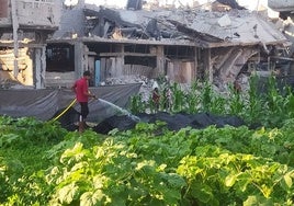 Un oasis verde en mitad de una Gaza moribunda