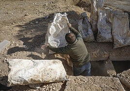 Los horrores de la dictadura de Assad: una fosa común que podría tener más de 100.000 cuerpos