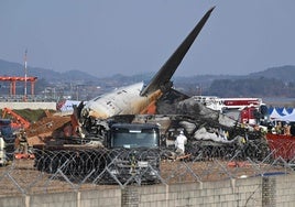 Últimas palabras en el vuelo de Corea del Sur: «Un pájaro ha quedado atrapado en un ala y no podemos aterrizar»