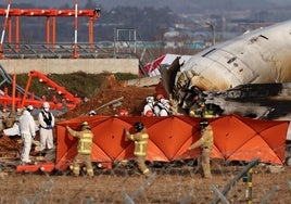 Corea del Sur revisará todos los Boeing 737-800 como el siniestrado