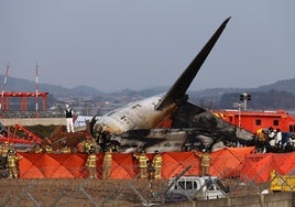 El informe preliminar sobre el avión siniestrado en Corea del Sur revela la presencia de plumas en los dos motores