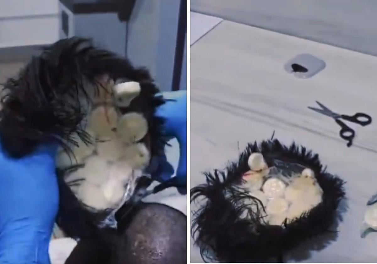 La 'narcopeluca' incautada por la Policía de Colombia