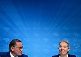 AfD demanda al servicio de Inteligencia alemán por etiquetarlo de «extremista»