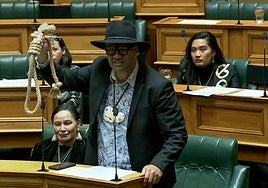 Suspendidos tres diputados neozelandeses tras interrumpir un debate en el Parlamento bailando una 'haka'