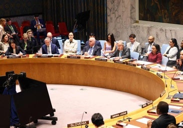 Rusia y China exigen una resolución de alto el fuego en el Consejo de Seguridad de la ONU