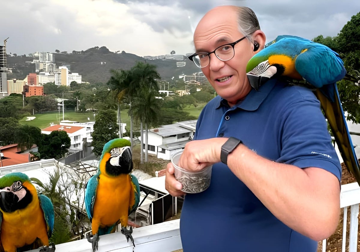 Omar González alimenta a dos guacamayas, ave que se ha convertido en un símbolo, en la Embajada de Argentina en Caracas