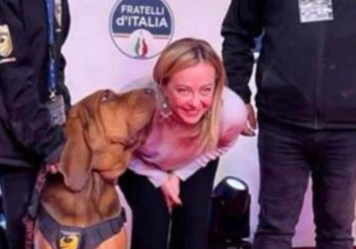 El sabueso belga y la primera ministra Giorgia Meloni durante una entrega de premios en 2022
