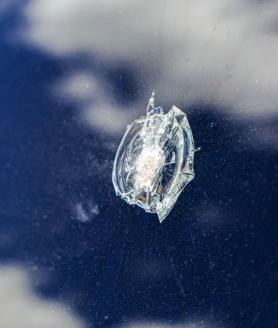 Imagen secundaria 2 - El Gobierno ecuatoriano denuncia el intento de asesinato de Noboa