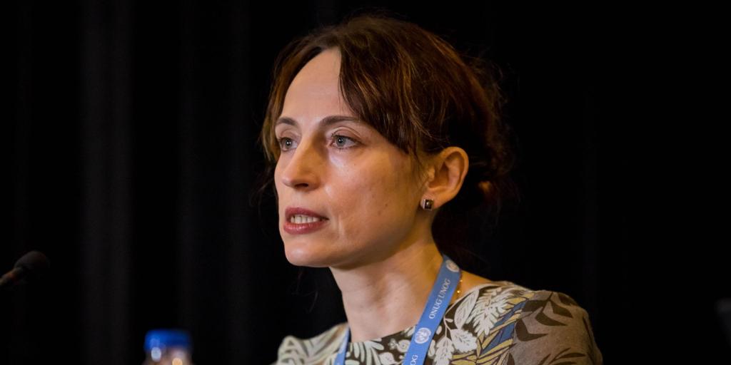 Relatora especial de la ONU se reúne en Cuba con funcionarios del régimen para evaluar impacto del embargo