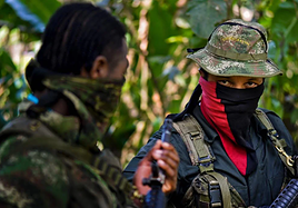 Nueve guerrilleros muertos en un bombardeo de militares colombianos cerca de Venezuela