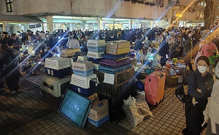 Imagen principal - En la primera imagen se apilan jaulas para las mascotas cedidas por los vecinos; en la segunda, voluntarias reparten ropa donada para niño; en la última, una vecina de Tai Po abandona el pueblo cargando con sus pertenencias