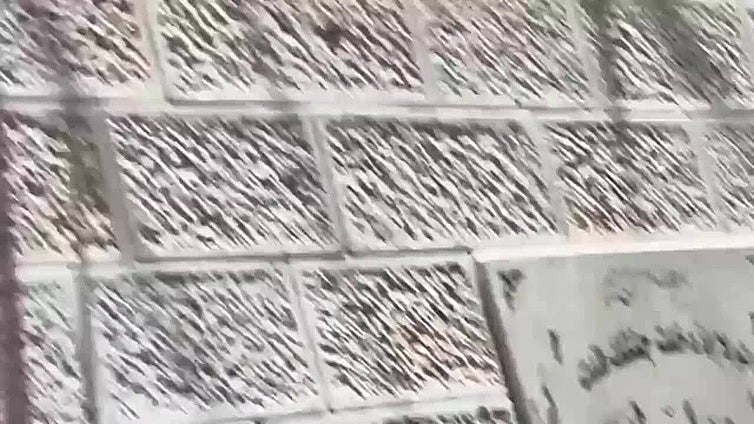 B'Tselem documenta la ejecución de dos palestinos desarmados durante una redada israelí en junio