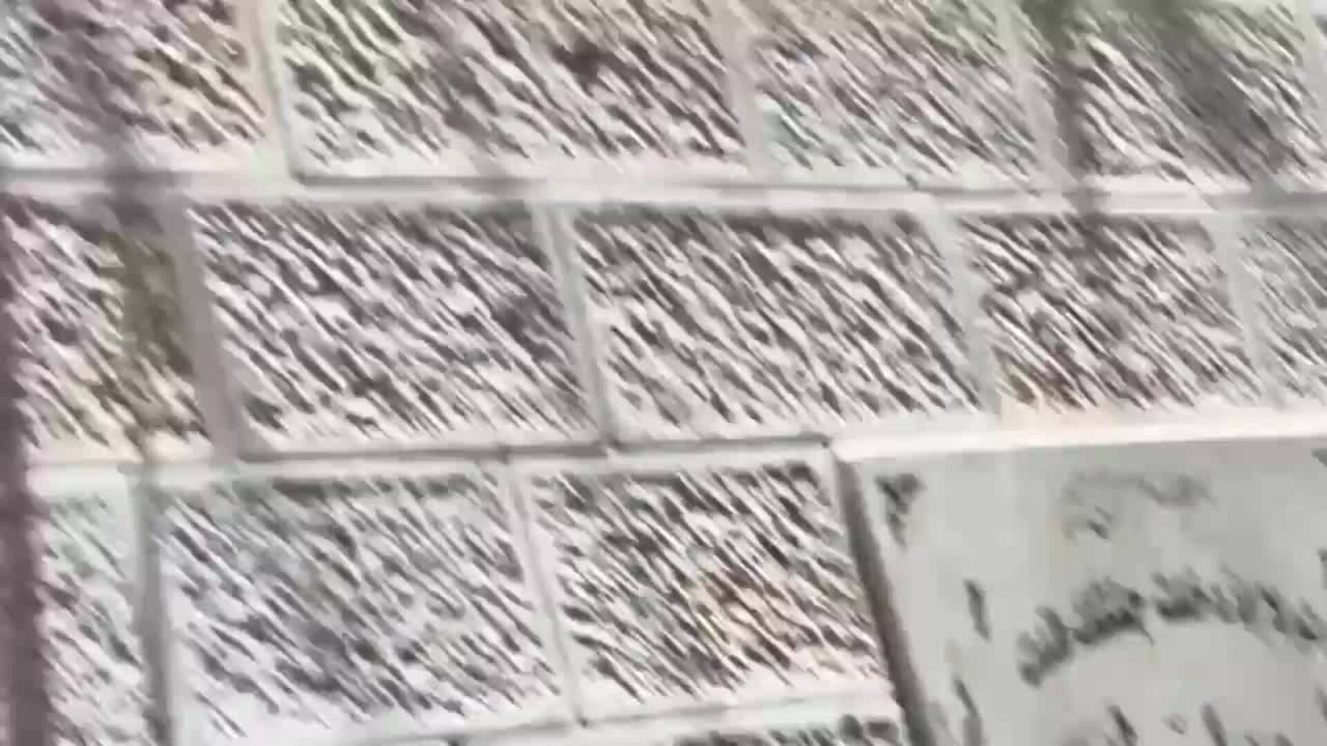 B&#039;Tselem documenta la ejecución de dos palestinos desarmados durante una redada israelí en junio