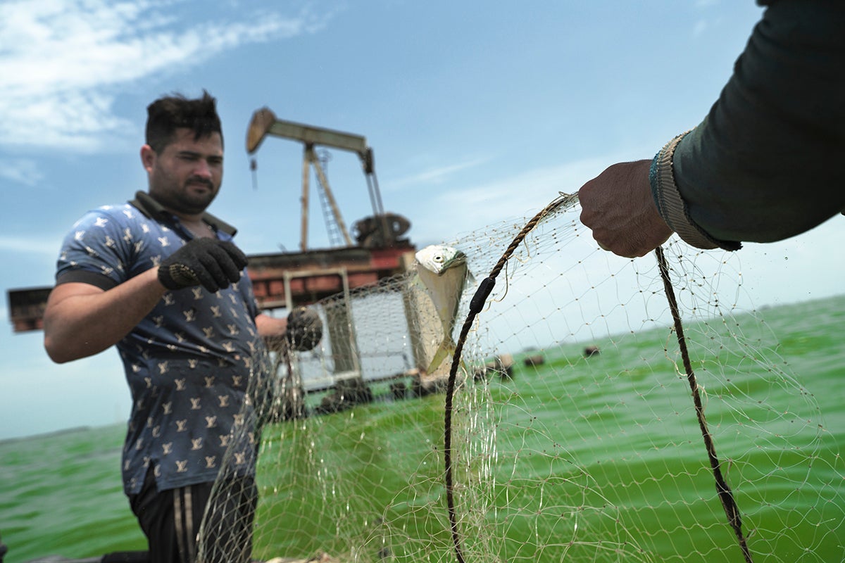 Trump y el petróleo de Venezuela: el festín sobre el coloso moribundo
