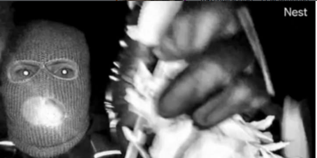 Detienen a un sospechoso del secuestro de la madre de Savannah Guthrie