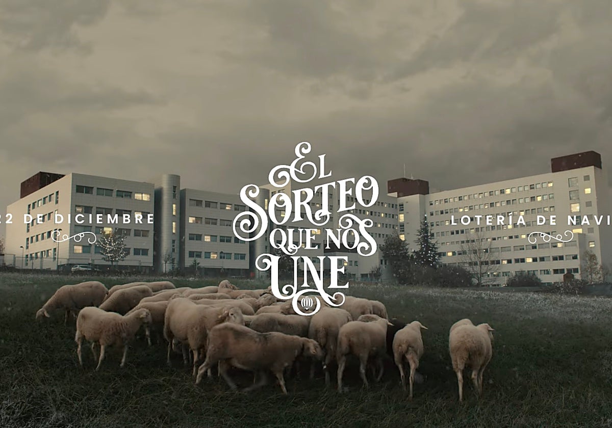 Imagen del segundo de los anuncios de la Lotería de Navidad 2022, en el que las ovejas también son protagonistas
