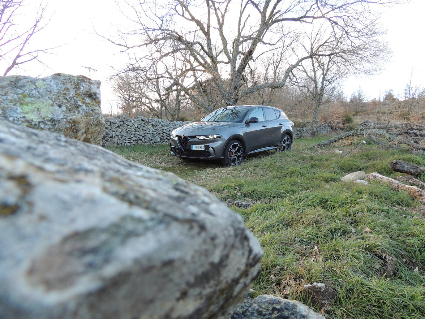 Con todo el ADN del «Biscione», el Alfa Romeo Tonale mezcla sabiamente el dinamismo de los coupés con la posición elevada, el espacio interior y la polivalencia de los SUV.