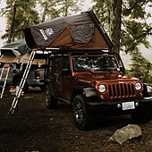 Imprescindibles a llevar en tu vehículo si viajas con perro