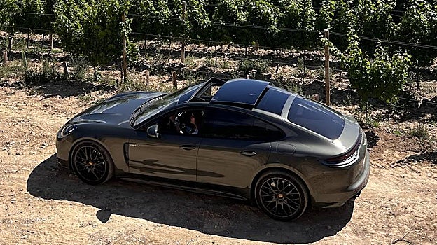 Recorrido junto a los viñedos