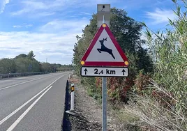 Esta es la nueva señal que te encontrarás en las carreteras españolas