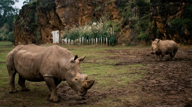 Parque de Cabárceno