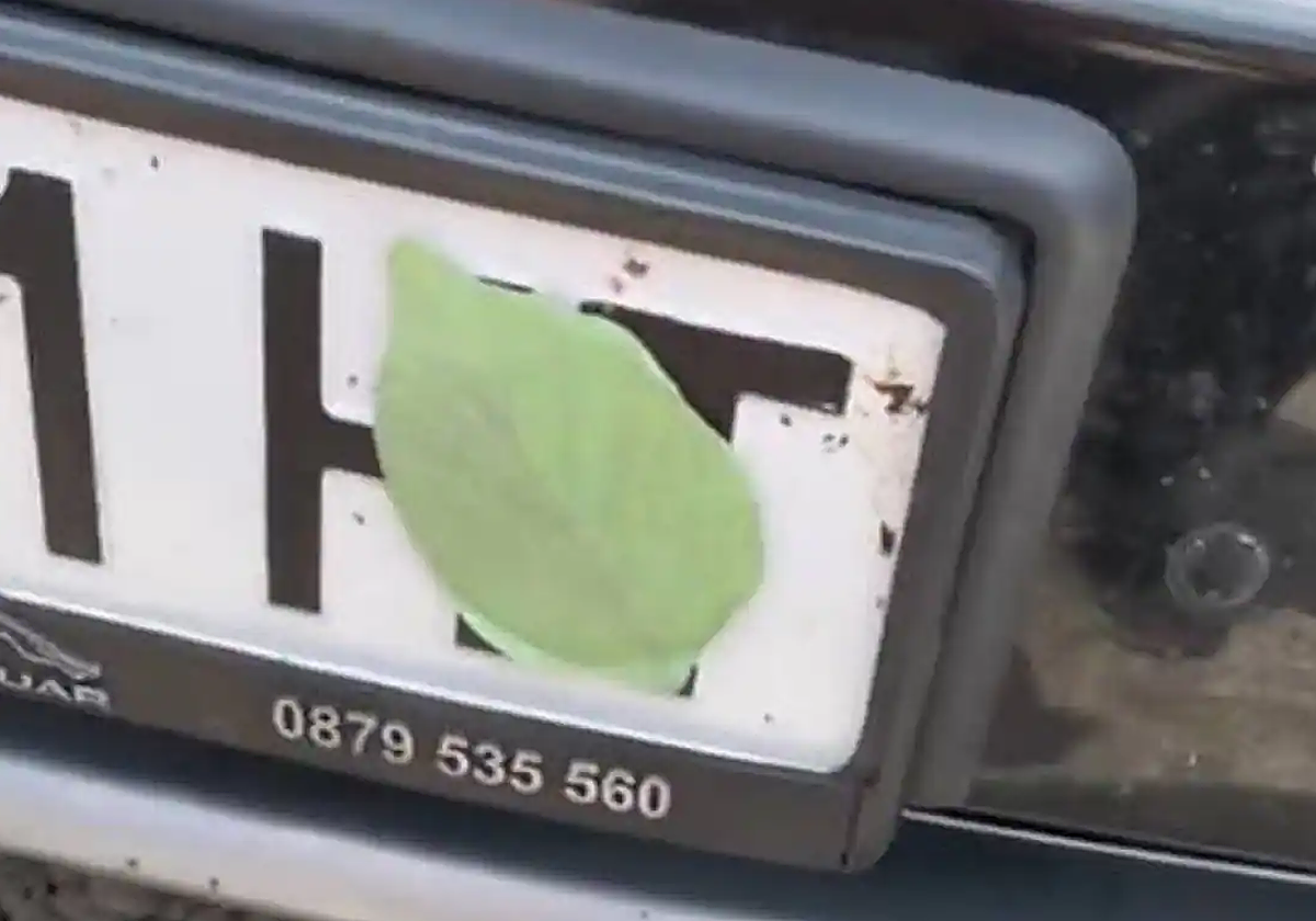 ¿Qué significa la hoja que muchos conductores llevan en el coche y que puede conllevar multas de hasta 6.000€?