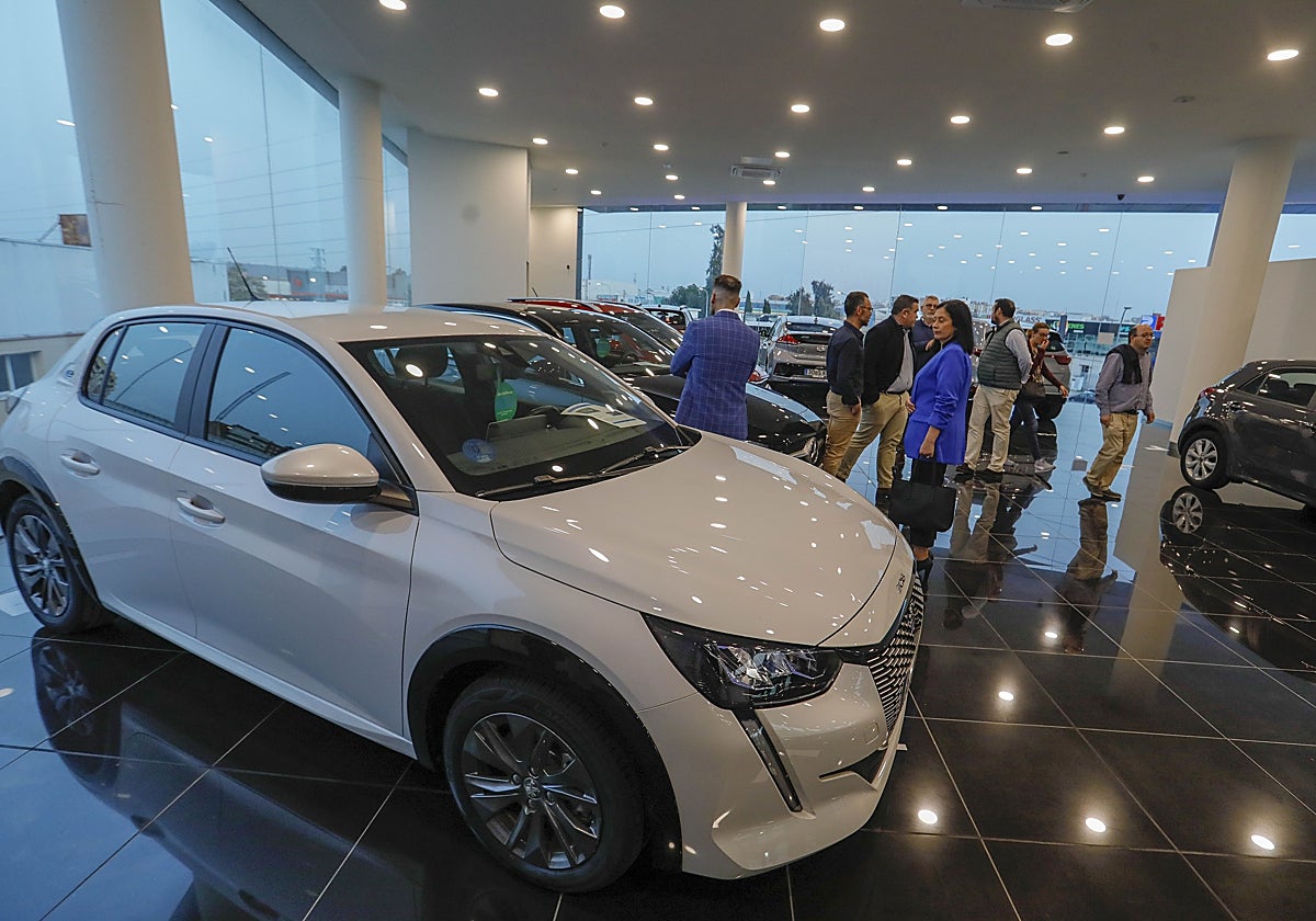 Vista interior de un concesionario.