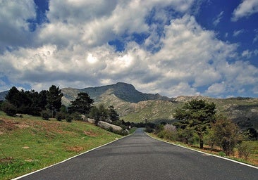 Cinco rutas en camper para para recoger setas este otoño