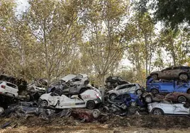 La Federación Española de Automovilismo pone en marcha una campaña de ayuda a los afectados por la DANA